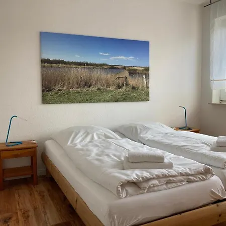 Hellinghaus Muschelsucher *